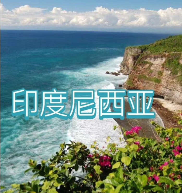 国际电商(印尼)产业博览会pg电子网站2025中国(图2)