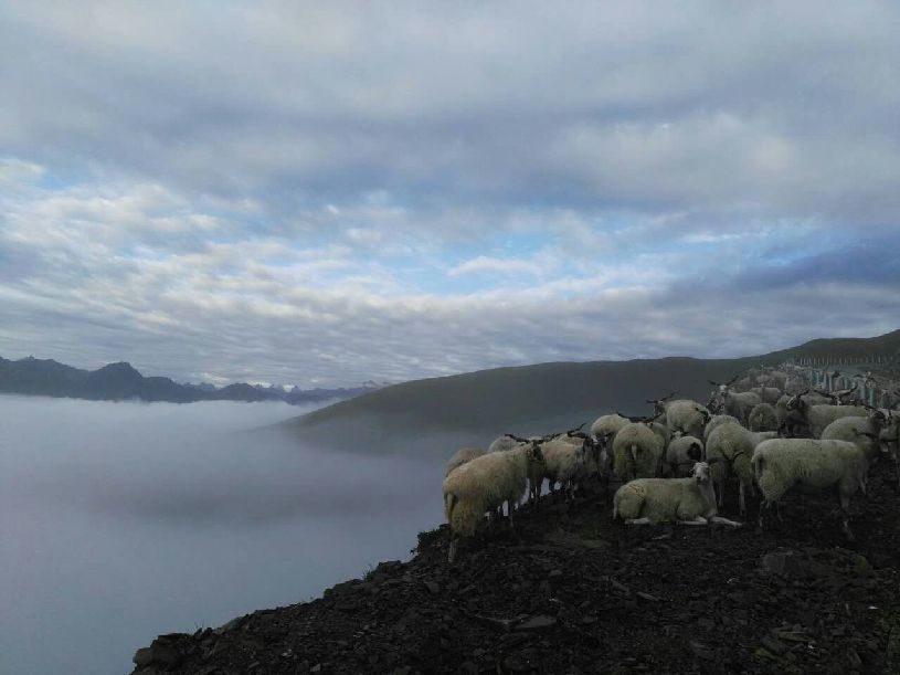 中国】达瓦更扎看云海pg电子网站【大美