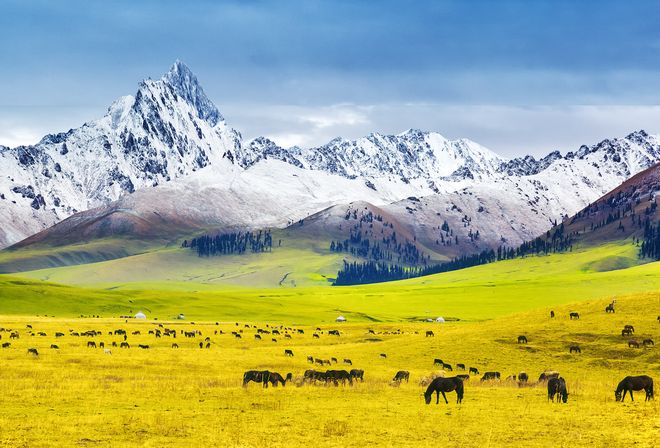 用？十大必去景点纯玩跟团旅行社前十指南pg电子模拟器电脑版新疆旅游15天费(图4)